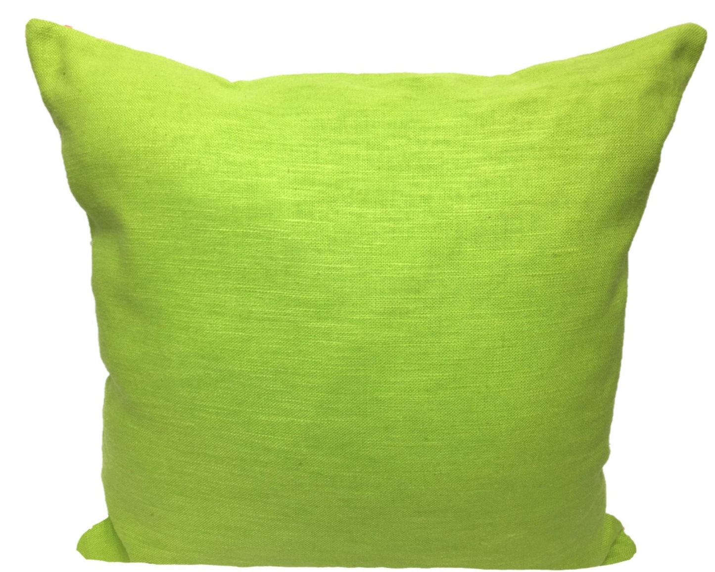 "Birds of a Feather" | Pillow Cover